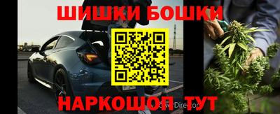 стафф Шелехов
