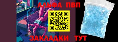 стафф Шелехов